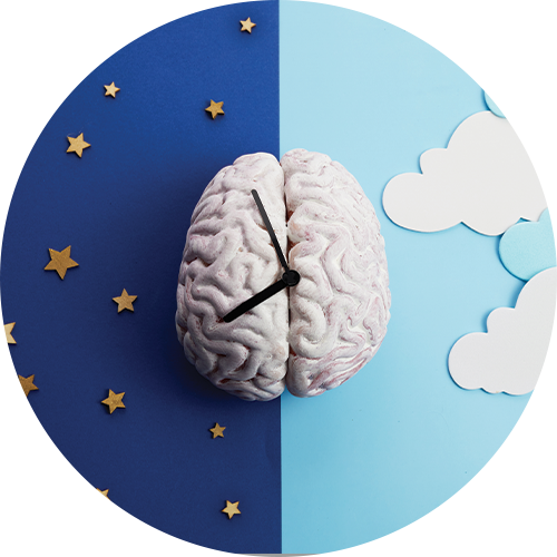 Sleep Now NeuroQ   Ingredients Sleepnow Melatonin 